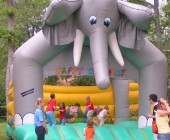 chateau gonglable elephant