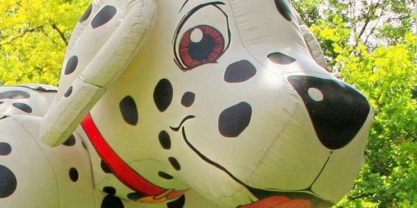 jeu gonflable dalmatien