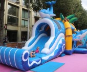 slide dauphin avec ou sans piscine