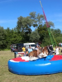 taureau mecanique star anim